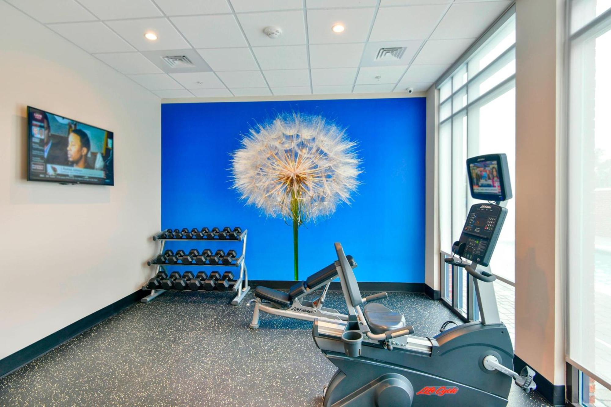 Springhill Suites By Marriott Wilmington Wrightsville Beach מראה חיצוני תמונה